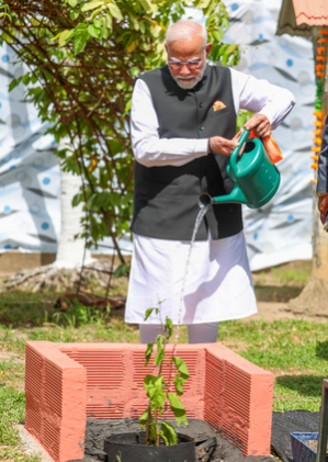 Modi Launches 'Ek Ped Maa Ke Naam 2.0' Initiative Modi Launches 'Ek Ped Maa Ke Naam 2.0' Initiative