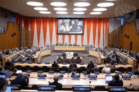 India Secures ECOSOC Seat, Pledges Development Focus India Secures ECOSOC Seat, Pledges Development Focus