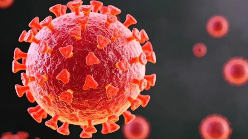 Study shows how Covid virus shields itself during replication Study shows how Covid virus shields itself during replication