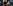 'Male Mira Kapoor, manchild': Housefull 5 director criticised for comparing baby with dog amid Deepika Padukone -Sandeep Reddy Vanga row