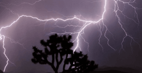 Heavy rain forecast for several TN districts, heatwave conditions persist in interior region Heavy rain forecast for several TN districts, heatwave conditions persist in interior region