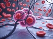 New AI tool analyses DNA for faster, affordable cancer monitoring