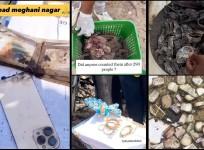 AI-171 crash site: 80-tola gold, Rs 15 lakh cash recovered: Air hostess's purse and belongings found intact