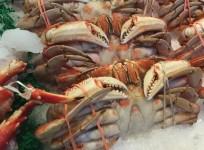 Imported seafood is screened for contaminants but the process doesn't catch everything, especially antimicrobial resistance genes.