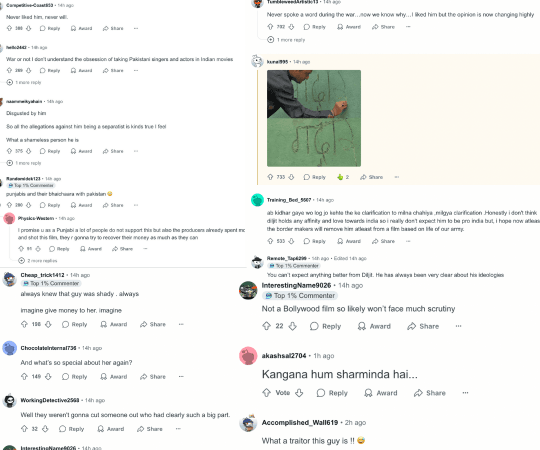 This is what the comment section of the discourse looked like. diljit Dosanjh-Hania Aamir
