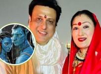 Govinda, Sunita Ahuja, Avatar