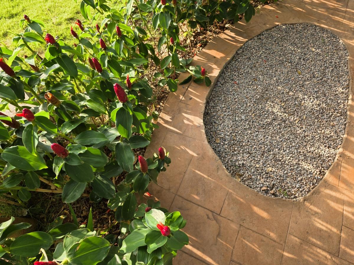 Shot on Samsung Galaxy S25 Edge Shot on Samsung Galaxy S25 Edge