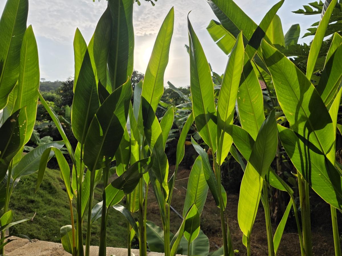 Shot on Samsung Galaxy S25 Edge Shot on Samsung Galaxy S25 Edge