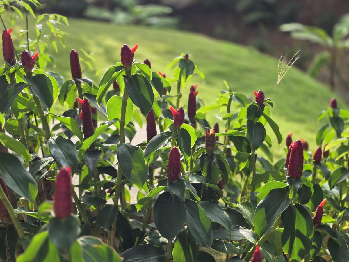 Shot on Samsung Galaxy S25 Edge Shot on Samsung Galaxy S25 Edge