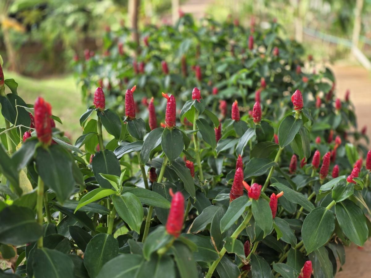 Shot on Samsung Galaxy S25 Edge Shot on Samsung Galaxy S25 Edge