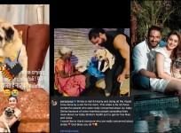 'Heartless People': Parag Tyagi slams Instagram pages for creating fake videos about dog Simba's ill health after Shefali Jariwala's death