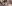 Avneet Kaur drops hot photos from Wimbledon, same day as Virat-Anushka; Netizens say 'Algorithm glitched again'