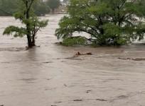 Death toll in US Texas flash floods climbs to 109; over 160 missing