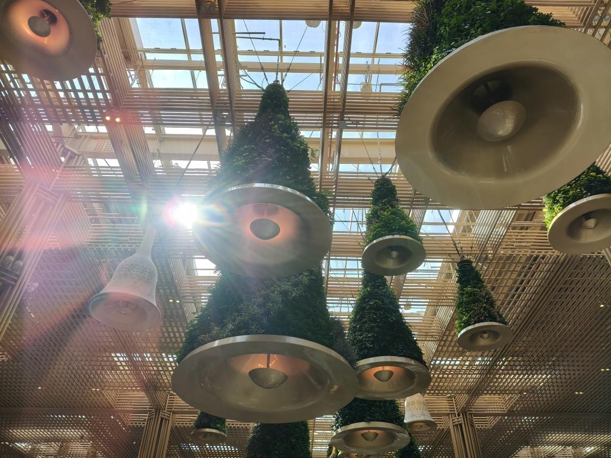 Shot on OnePlus Nord CE 5