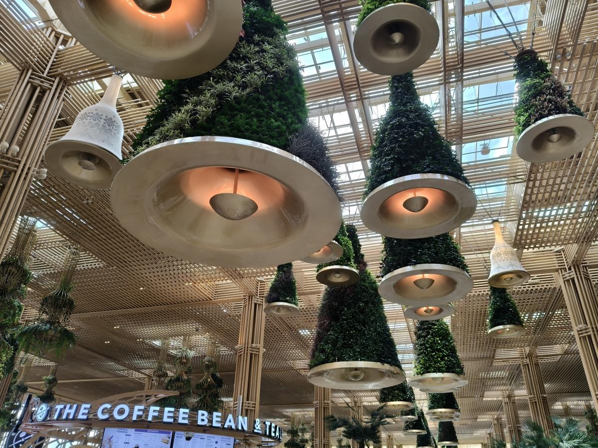 Shot on OnePlus Nord CE 5