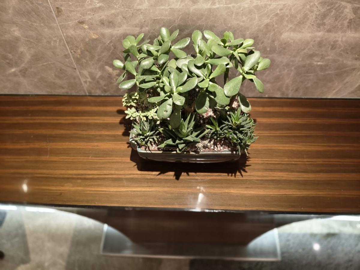 Shot on OnePlus Nord CE 5