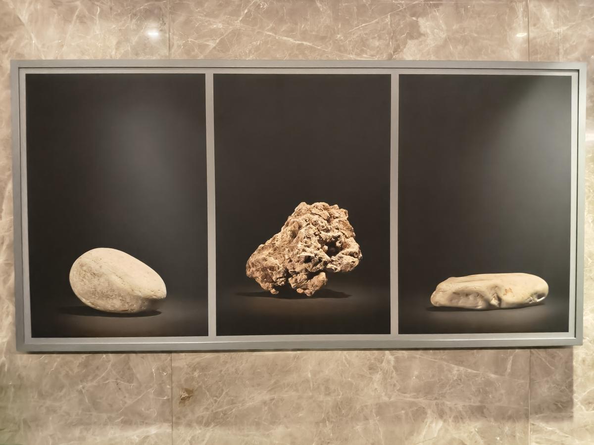 Shot on OnePlus Nord CE 5