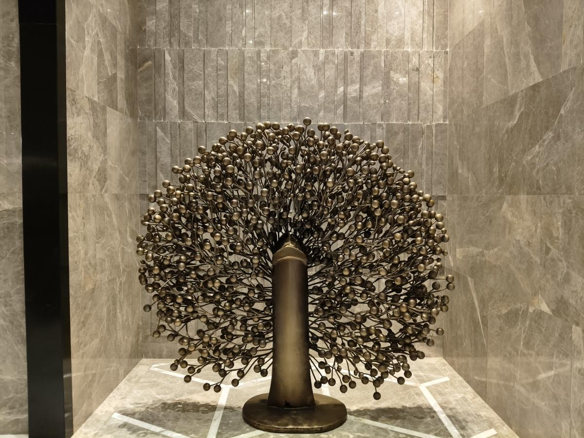 Shot on OnePlus Nord CE 5