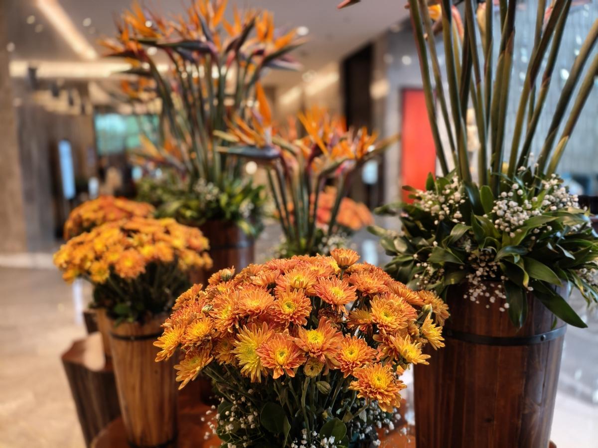 Shot on OnePlus Nord CE 5