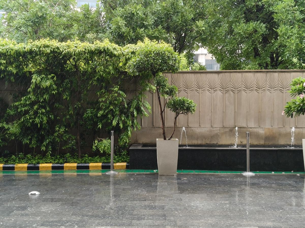 Shot on OnePlus Nord CE 5