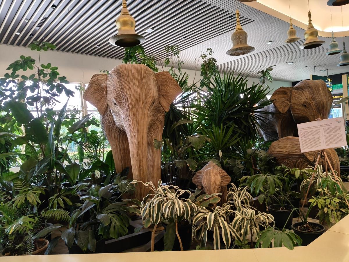 Shot on OnePlus Nord CE 5