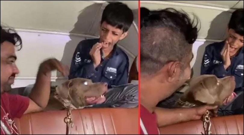 Pit Bull Attack in Mumbai Sparks Outrage and Debate