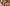 Ahaan Panday, Khushi Kapoor, Janhvi Kapoor, Suhana Khan, Chunky Panday, Ananya Panday