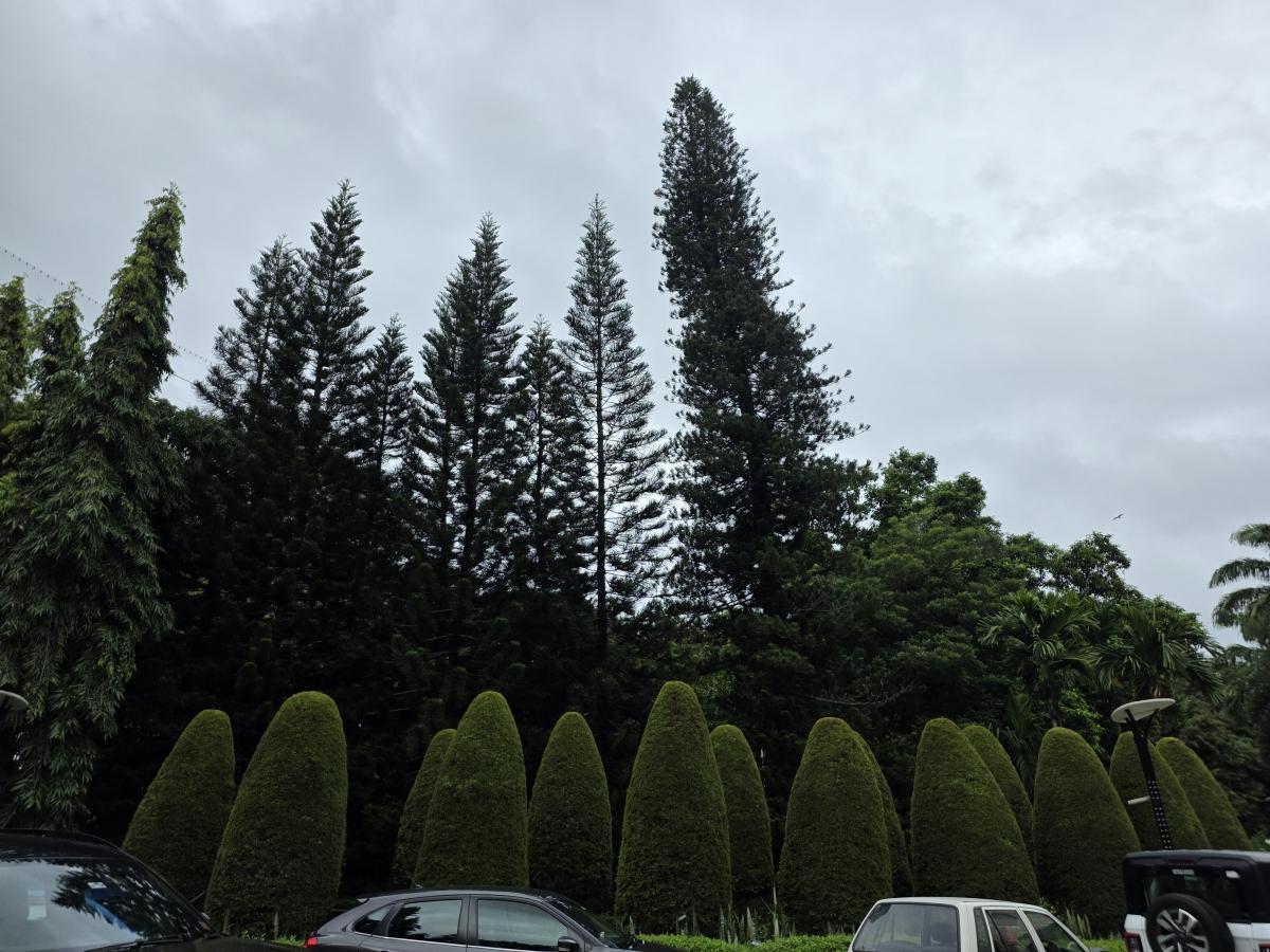 Shot on Samsung Galaxy Z Fold7 Shot on Samsung Galaxy Z Fold7