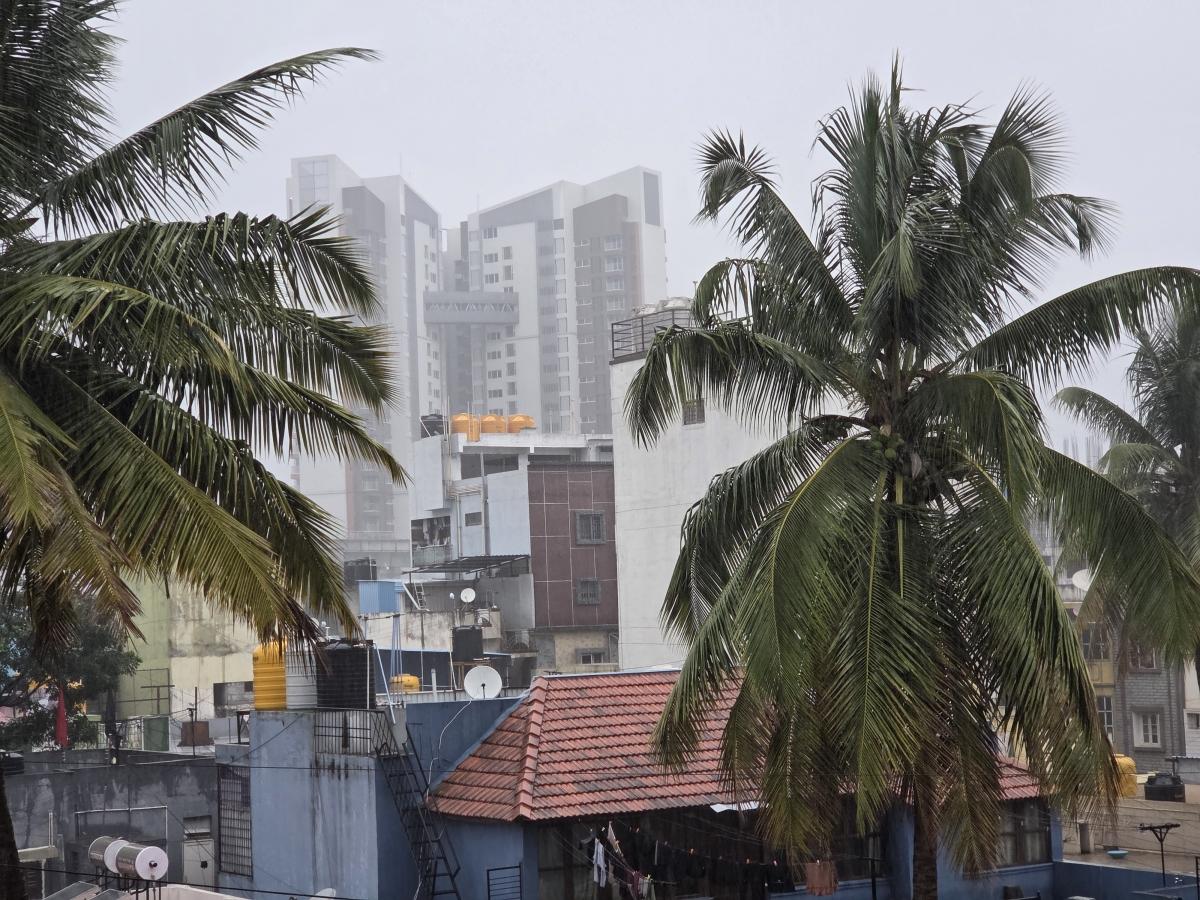 Shot on Samsung Galaxy Z Fold7 Shot on Samsung Galaxy Z Fold7