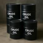 How US encouraged India to buy Russian oil to stabilise global energy markets