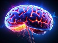Indian scientists explore potential cure for Alzheimer's Disease using microRNAs