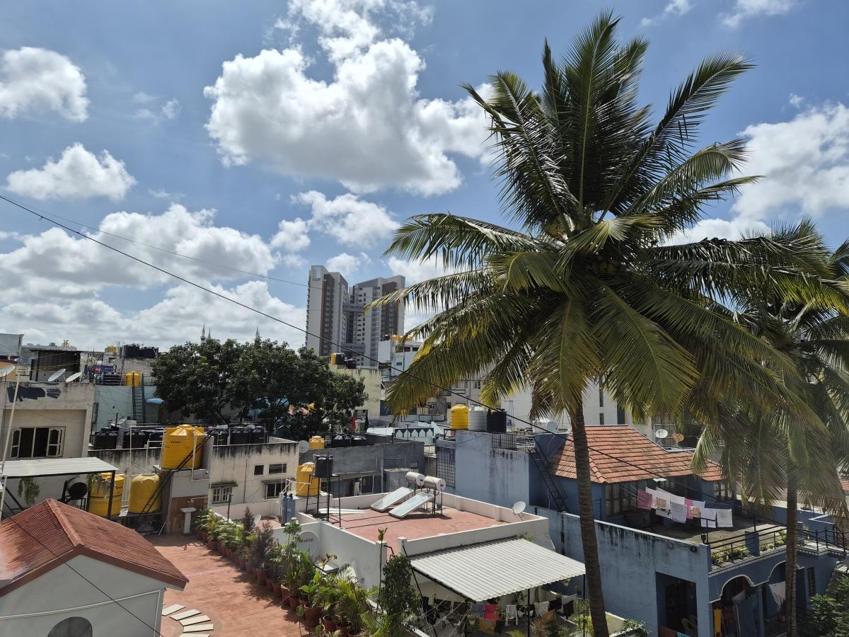 Shot on Samsung Galaxy Z Flip7 Shot on Samsung Galaxy Z Flip7