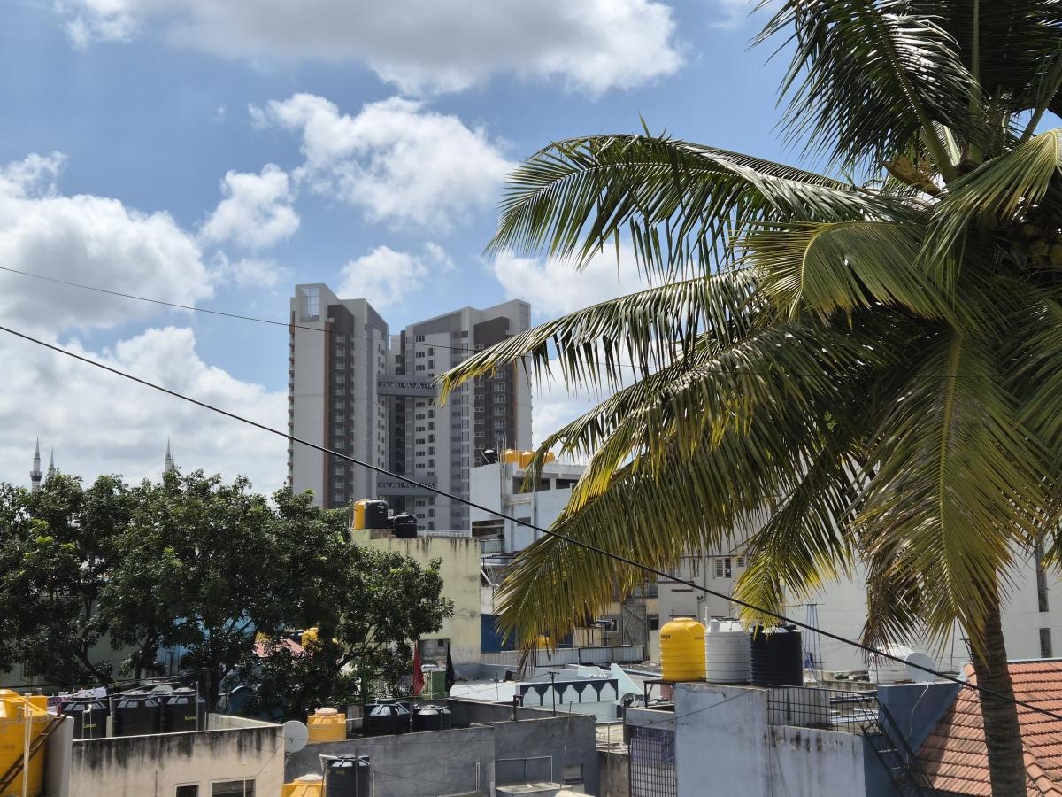 Shot on Samsung Galaxy Z Flip7: 2X zoom Shot on Samsung Galaxy Z Flip7