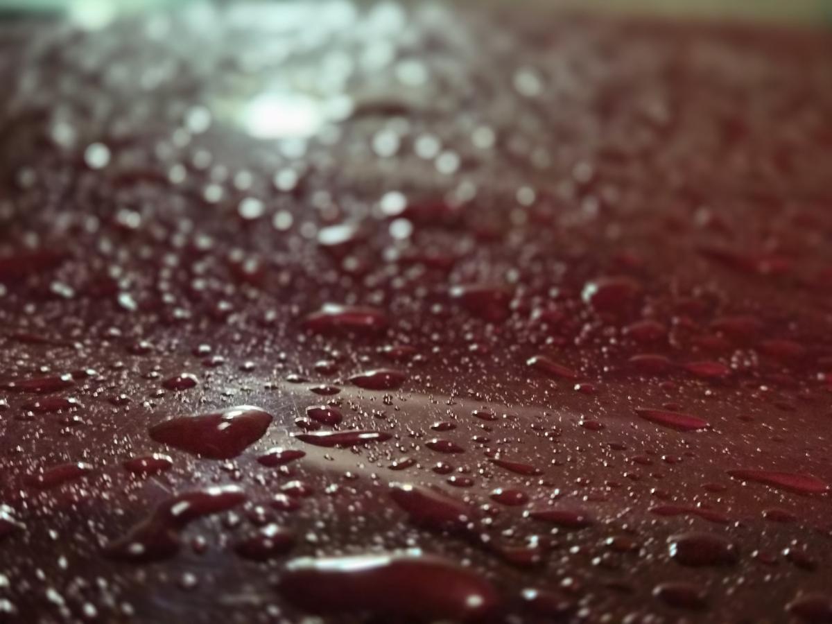 Shot on Samsung Galaxy Z Flip7: Closeup details Shot on Samsung Galaxy Z Flip7: Closeup details