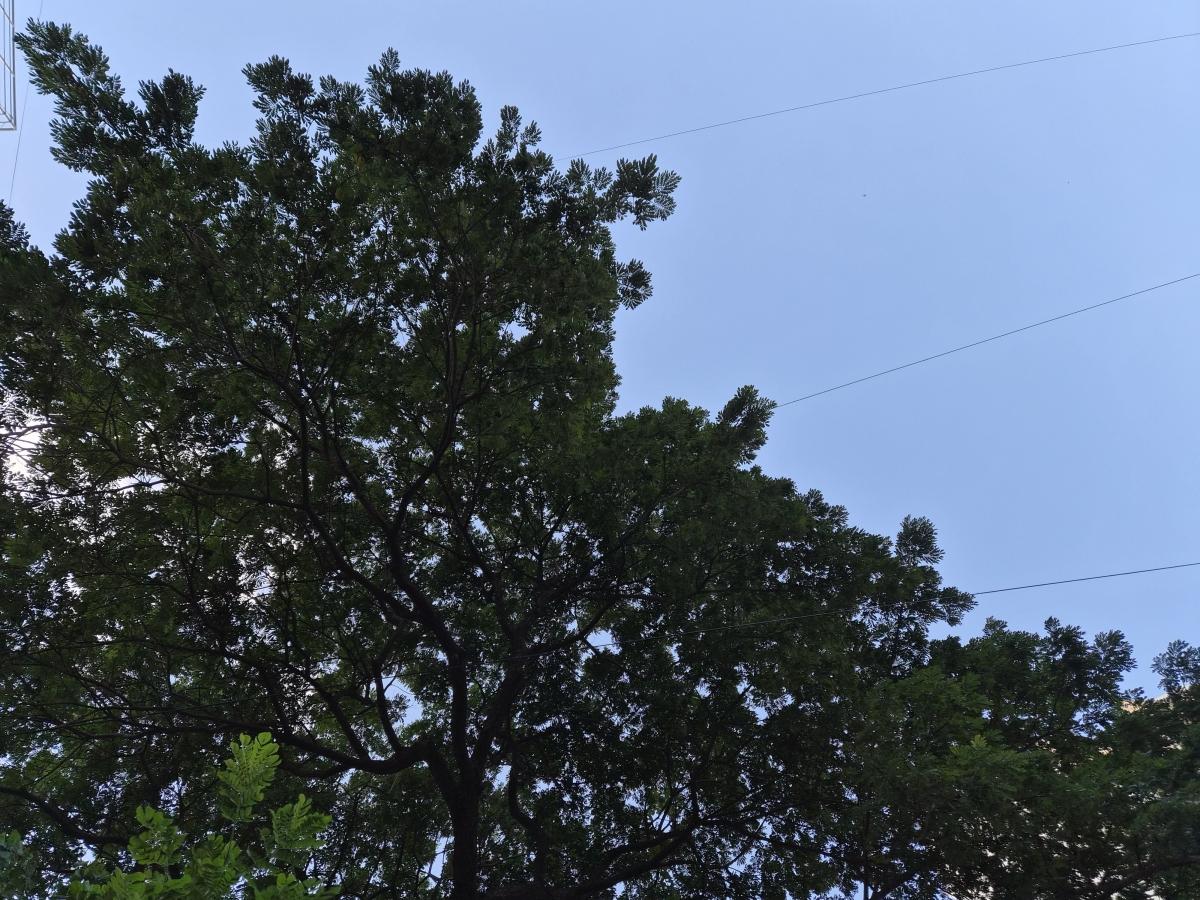 Shot on Samsung Galaxy Z Flip7 Shot on Samsung Galaxy Z Flip7