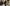 Abhishek Bachchan, Aishwarya Rai Bachchan, Aaradhya Bachchan