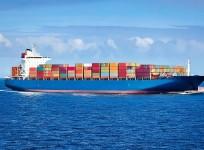 Additional US tariffs to impact $48 billion of India's exports, govt to safeguard trade: Minister
