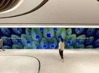 Apple to open new India retail store in Bengaluru on Sep 2