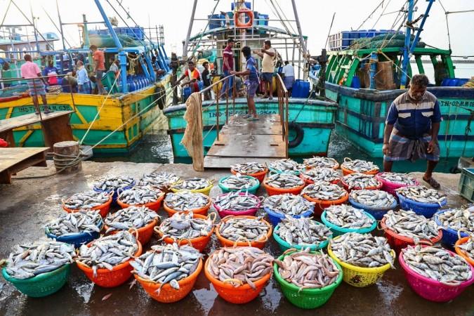 India's seafood export earnings touch $7.45 bn India's seafood export earnings touch $7.45 bn