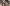 BB 19: Sanskari Tanya Mittal claims she never exposed her body; netizens dig up bold reels in bralettes, ex-BF Balraj Singh calls her 'fake'