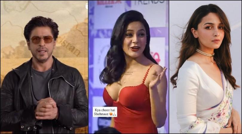 Punjab Floods: Shehnaaz Gill sends food, essentials, SRK, Alia, Ranveer Singh, Kapil Sharma pray for victims Punjab Floods: Shehnaaz Gill sends food, essentials, SRK, Alia, Ranveer Singh, Kapil Sharma pray for victims