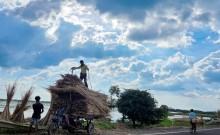 Mixed reaction from farm unions on GST reduction in farm inputs