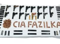 Punjab: Huge haul of arms seized along Indo-Pak border; two held