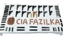 Punjab: Huge haul of arms seized along Indo-Pak border; two held Punjab: Huge haul of arms seized along Indo-Pak border; two held