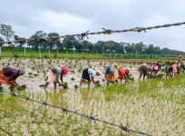 AI-based weather forecasting: Govt sent monsoon forecasts to 3.8 crore farmers this year
