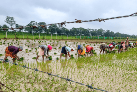 AI-based weather forecasting: Govt sent monsoon forecasts to 3.8 crore farmers this year AI-based weather forecasting: Govt sent monsoon forecasts to 3.8 crore farmers this year