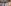 Bads of Bollywood screening: Vicky Kaushal makes solo appearance, bonds with Ranbir Kapoor; netizens say 'Katrina is pregnant'