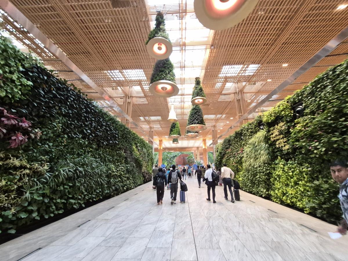 Shot on Galaxy S25 FE