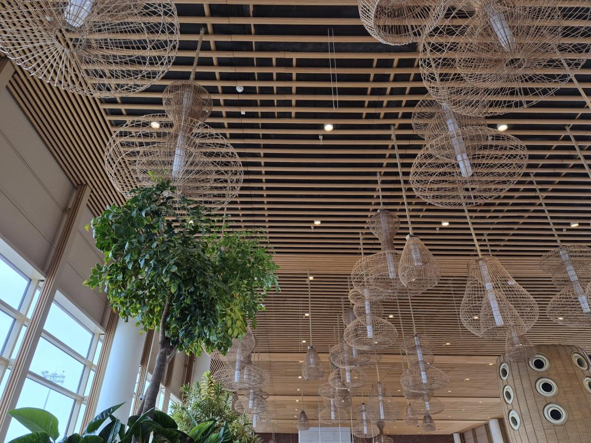 Shot on Galaxy S25 FE