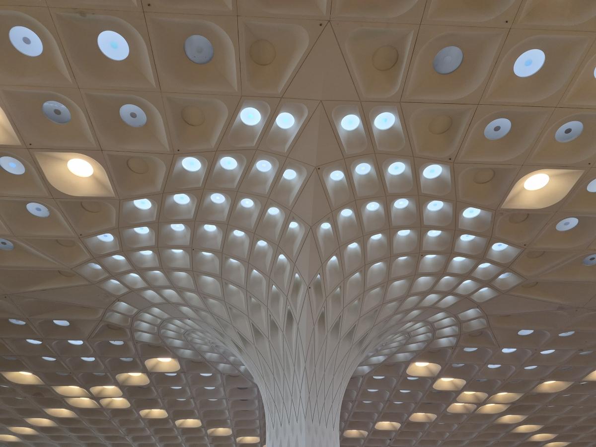 Shot on Galaxy S25 FE